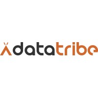 Data Tribe Logo