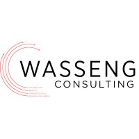 Wasseng Consulting Logo