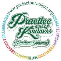 The Paradigm Challenge Logo