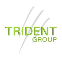 Trident Group BV Logo