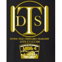 DTS Company Logo