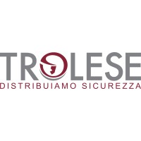 Trolese srl Logo