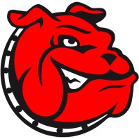 IT Topdogs Logo