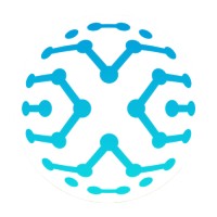 Blue-X Logo