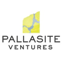 Pallasite Ventures Inc. Logo