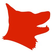 Backup Data Limited Logo