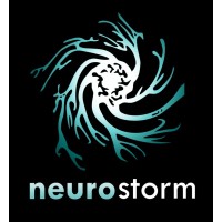 NeuroStorm Logo