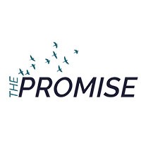 The Promise Logo