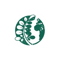 ECHO International Inc Logo