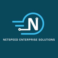 Netspeed Enterprise Solutions Logo