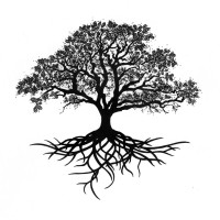 Big Oak Consulting NW Logo