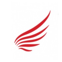 Tianyi Consulting Logo