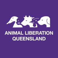 Animal Liberation Queensland Logo