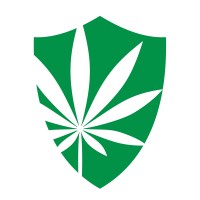 Nine Point Strategies Logo