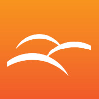 Dunion Online Marketing Logo