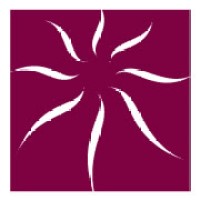 the impact company | lean impact Logo