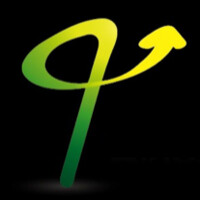 Pivot Coaching and Consulting Logo