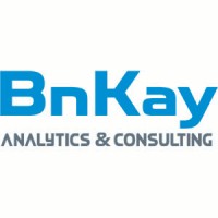 BnKay Analytics & Consulting Logo