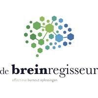 De Breinregisseur Logo