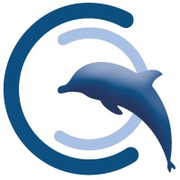 CC Transitions Logo