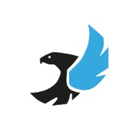 Drone Process Logo