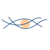 The Corneal Dystrophy Foundation Logo