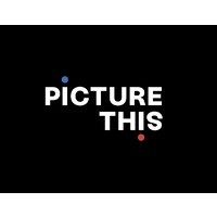 Picture This Ballooning Logo