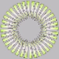 General Informatics LLC Logo