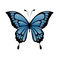 Morpho Marketing Logo