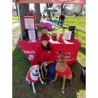 Petrouske State Farm Logo