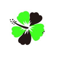 Solid Ground LLC Logo