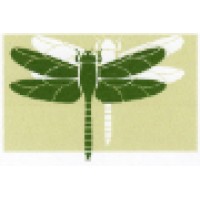 Vitalpuncture Logo