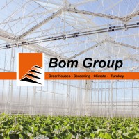 Bom Group Logo