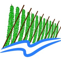 Cowiche Creek Brewing Company Logo