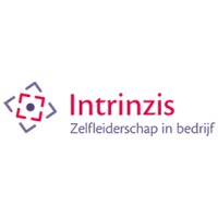 Intrinzis Logo
