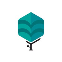 Multimedia Tree Agency Logo