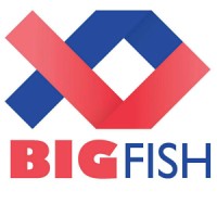 Big Fish Ventures Logo