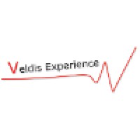 Veldis Experience Pte Ltd Logo