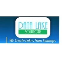 DATALAKE-SOLUTIONS Logo
