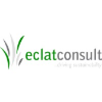 Eclat Consult Logo