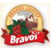 Bravos Logo
