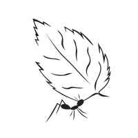 Primum International Social Impact Consulting Logo