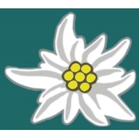 Edelweiss Renewables Logo