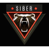 Siber Facade Group Logo