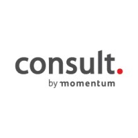 Consult Logo