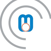 M.S Stainless International Group Logo