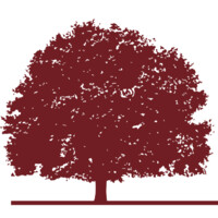 The Stedge Group Logo