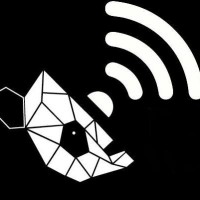 Panda Wireless Logo