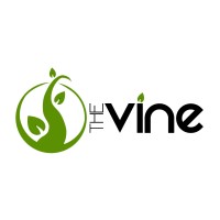 The Vine || Wine Import Logo
