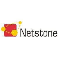 Netstone Application Security Logo
